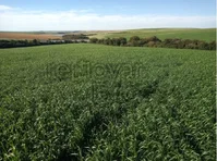 Área Rural com 7 Ha em São Miguel das Missões - RS