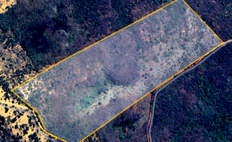 Sítio com 35 hectares com casa e curral, área rural