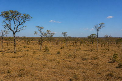 Imóvel Rural com 242 hectares em Santa Fé de Minas