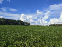 Terreno de 60.000m² em área rural