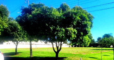 Terreno amplo em Londrina com 3.339,25 m²