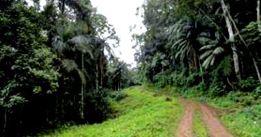 Área Rural de 25 Hectares em Timbó/SC