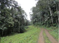 Área Rural de 25 Hectares em Timbó/SC