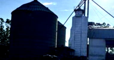 Fazenda Dal Bosco em Sorriso/MT - 181,5ha