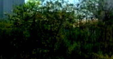 Terreno em Leilão em Campos dos Goytacazes/RJ