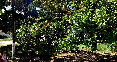 Sobrado com 31m² e Terreno de 144m² em João Pessoa/PB