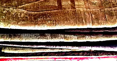 Lote 003 - Tapetes de Cores Variadas