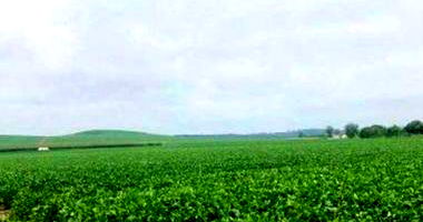 Terreno Rural com 1.496.230m² em Canoinhas - SC