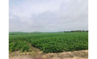 Terreno Rural com 1.496.230m² em Canoinhas - SC