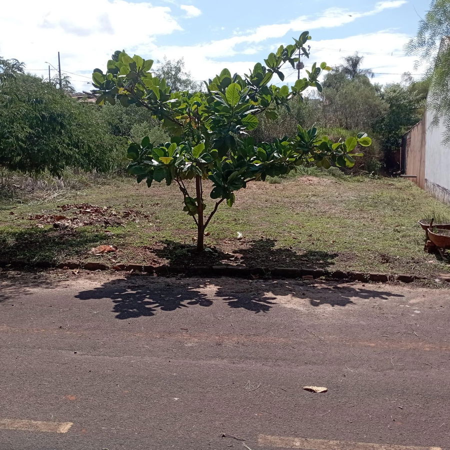 Terreno Urbano em Terra Roxa - 315,39 m²