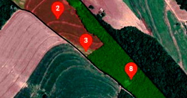 Casa Rural com 14.53ha de Área, Ocupada e Pronta para Exploração