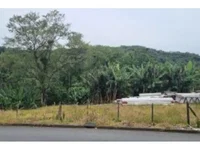 Terreno amplo em Nova Brasília, Joinville - Oportunidade!