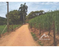 Terreno Rural com Casa em Boa Família - 4,47 hectares