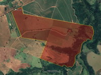 Fazenda Argentina 169,4ha com 255,6ha total - Oscar Bressane/SP