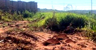 Terreno Urbano com Área Total de 250m² em Terra Roxa/PR