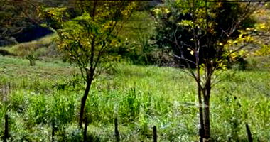 Área de Terras com 139,025m² em São Gonçalo/RJ