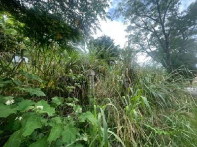 Terreno de 640m² na Ilha do Boi, desocupado e pronto para construir