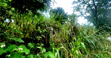 Terreno de 640m² na Ilha do Boi, desocupado e pronto para construir