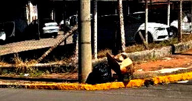 Terreno com 690m² em Bauru/SP
