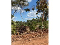 Fazenda São Raimundo/Gleba B com 946,1351 hectares