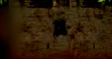 Casa com 2 benfeitorias, 90m² construídos, terreno 247,5m²