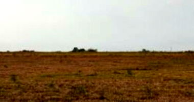 Terreno desocupado com 338,78m² em Jardim Botânico I