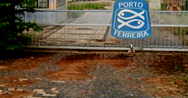 Galpão Comercial com 93m² em Terreno de 89.012m² em Porto Ferreira/SP