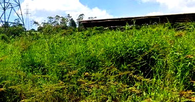 Terreno amplo com 24.156m² em Biritiba-Ussu, Mogi das Cruzes