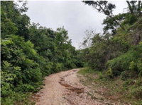 Terreno rural de 242 ha em Cáceres/MT