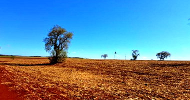 Imóvel rural de 7,6 ha em Chavantes/SP