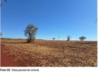 Imóvel rural de 7,6 ha em Chavantes/SP