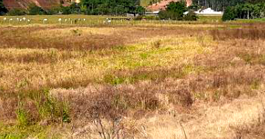 Terreno Rural com 26.507,42m² em São João Batista/SC