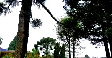 Terreno Urbano em Leilão - 1488m²