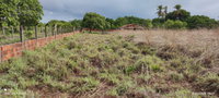Terreno amplo com 18.419,19m² em Pindoretama - CE