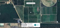 Imóvel Rural 21,86 ha com Casa e Cultivo de Laranja/Mamão