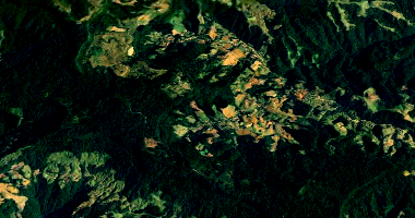 Terreno Rural com 5,5 hectares em Presidente Nereu/SC