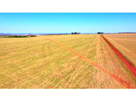 Fazenda Estância Brasil com 1.533,79 hectares