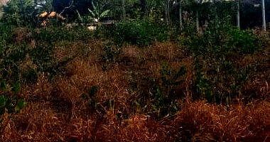 Lote de Terreno em Condomínio com 974,35 m² em Jaboticatubas/MG