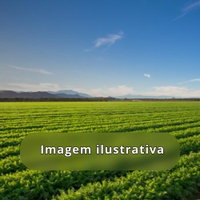 Fazenda Funil - 72,23 hectares com casa e curral
