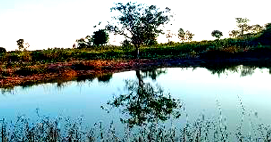 Terreno em Goianésia do Pará