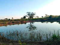 Terreno em Goianésia do Pará