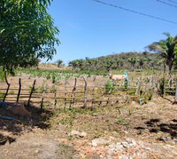 Área Rural com 15 Hectares, Casa e Energia Solar