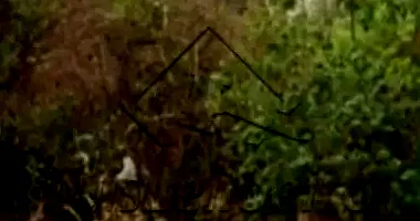 Área de 655,00m² em Santa Cruz do Rio Pardo/SP