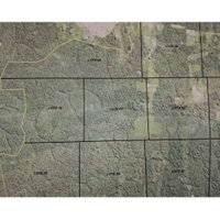 Fazenda com 3.079,7272 ha em Colniza/MT - Lote 18