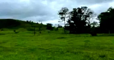 Área Rural com 24,44ha em Mirante da Serra/RO