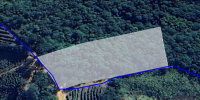 Terreno rural de 1 hectare em fazenda, com vegetação e café abandonado