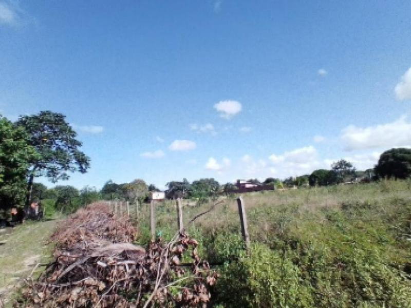 Lote com 1000m² em Camaçari