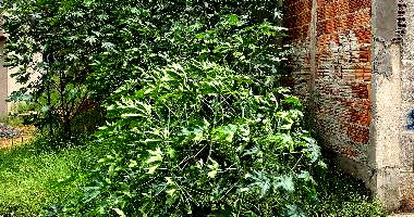 Terreno com 128,72m² em Presidente Prudente, desocupado