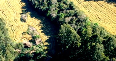 Terreno Rural com Fração Ideal em Viadutos/RS