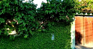 Casa Residencial com 4 Quartos e 3 Banheiros em Pechincha